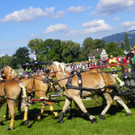 116_2165_JPG-1348269984