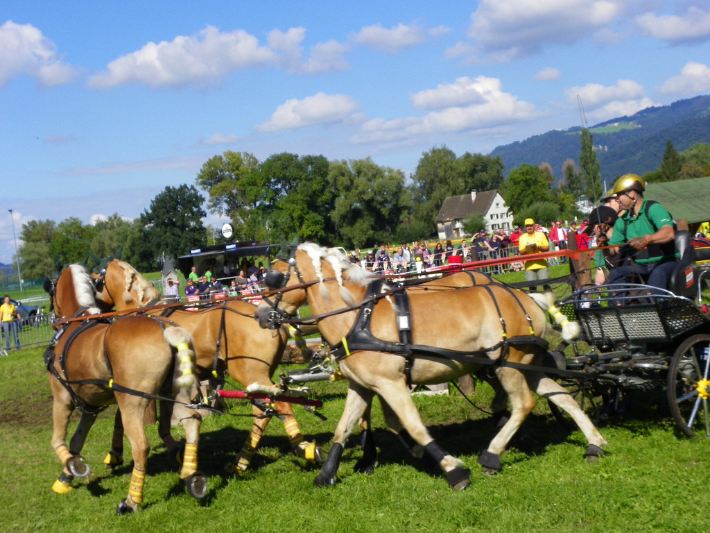 116_2165_JPG-1348269984