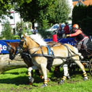 116_2144_JPG-1348269965