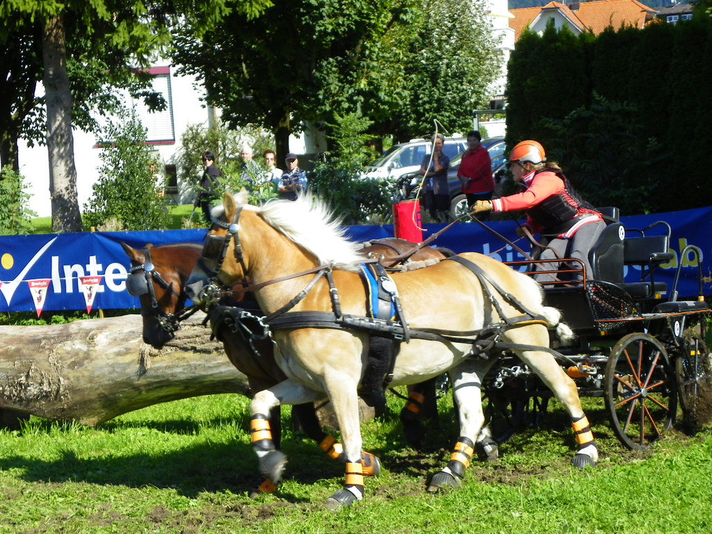 116_2144_JPG-1348269965