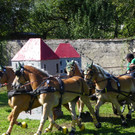 116_2152_JPG-1348269971