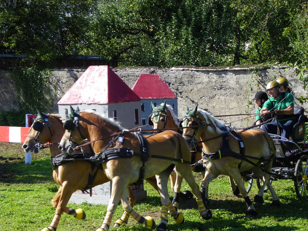 116_2152_JPG-1348269971