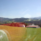Seniorenausflug Lingenau 2012 _24__jpg-1348296778