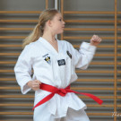 Taekwondo Verein Bludenz