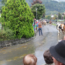 IMG_9184_JPG-1348312459