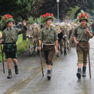 IMG_9226_JPG-1348313181