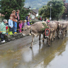 IMG_9229_JPG-1348313246