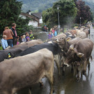IMG_9248_JPG-1348313551