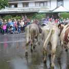 IMG_9249_JPG-1348313572
