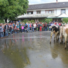 IMG_9250_JPG-1348313602