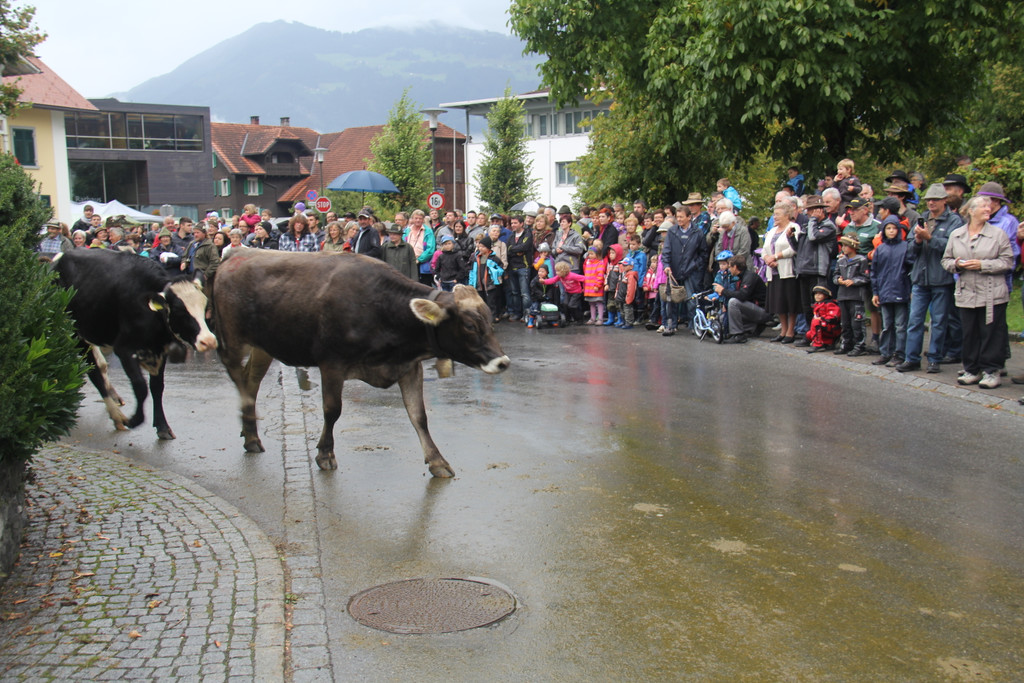 IMG_9263_JPG-1348313733