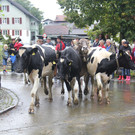 IMG_9272_JPG-1348313828