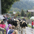 IMG_9275_JPG-1348313853