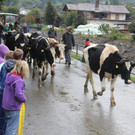IMG_9276_JPG-1348313875