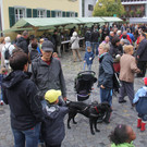 IMG_9290_JPG-1348314107