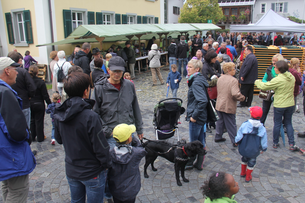 IMG_9290_JPG-1348314107