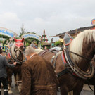 normal_22092012oktoberfestde_04_002aktivnews__20_.JPG
