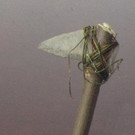 Steinaxt_jpg-1348325920