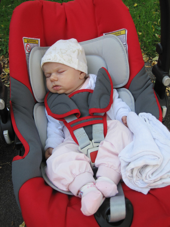 IMG_5003_JPG-1348330469