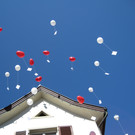 IMG_5033_JPG-1348337003