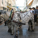 Jubiläum Bauernmarkt