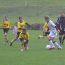 DSC00503_JPG-1348387531