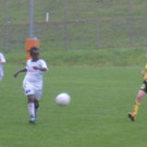 DSC00511_JPG-1348387546