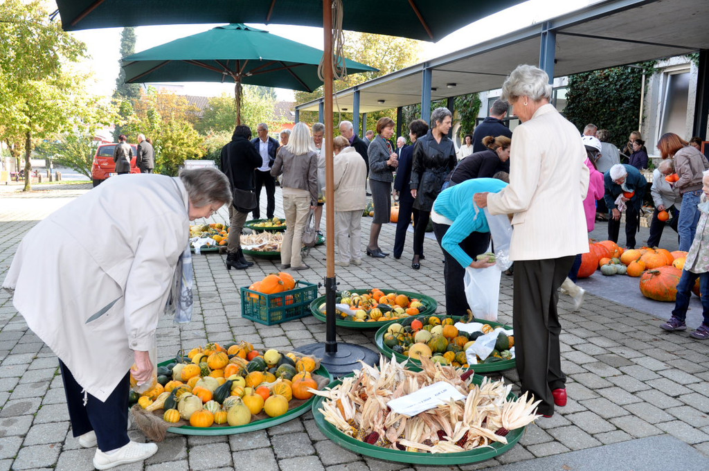 K__rbismarkt15.JPG