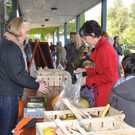 K__rbismarkt35.JPG