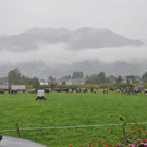 DSC_0017_JPG-1348415709