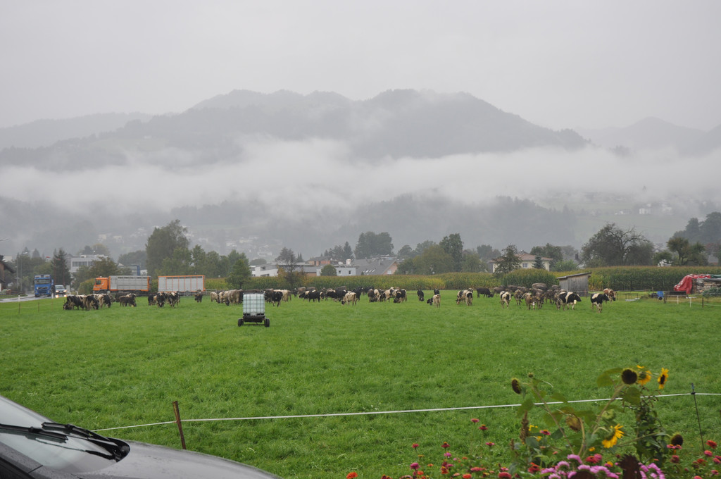 DSC_0017_JPG-1348415709