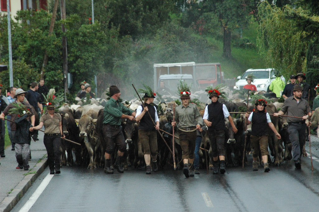 DSC_5944_JPG-1348415763