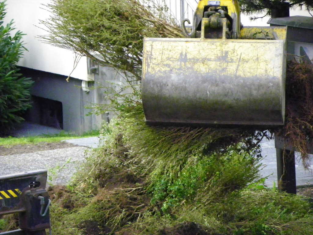 116_0790_JPG-1348434054