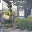 116_0770_JPG-1348434001