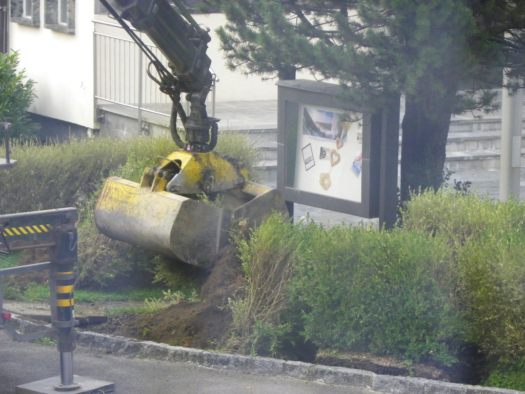 116_0770_JPG-1348434001