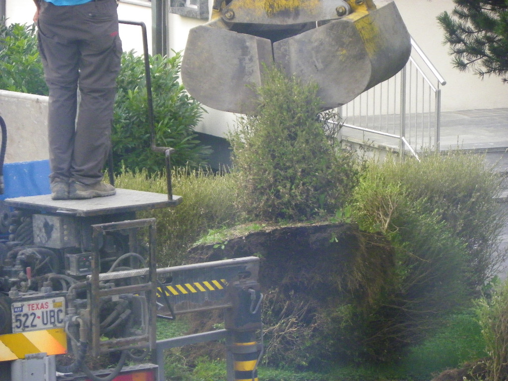 116_0774_JPG-1348434014