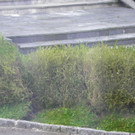 116_0779_JPG-1348434028