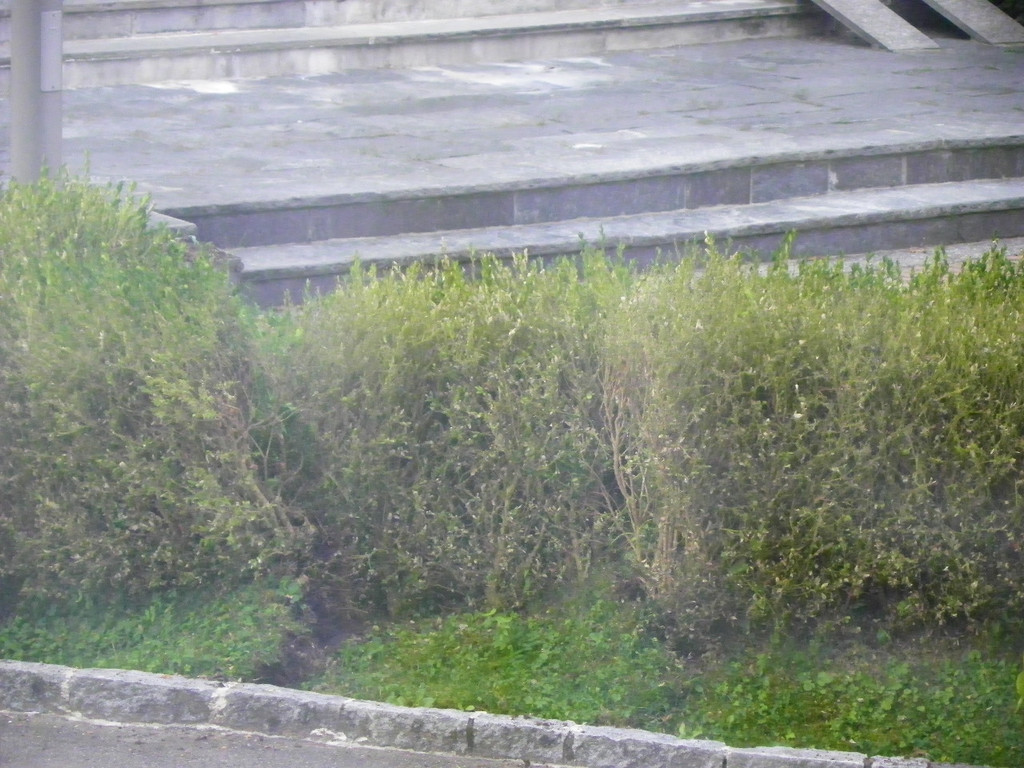 116_0779_JPG-1348434028