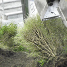 116_0787_JPG-1348434048