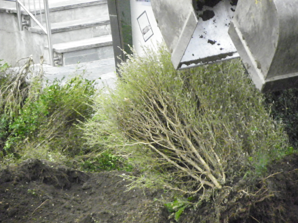 116_0787_JPG-1348434048