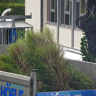 116_0780_JPG-1348434034