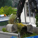 116_0785_JPG-1348434041