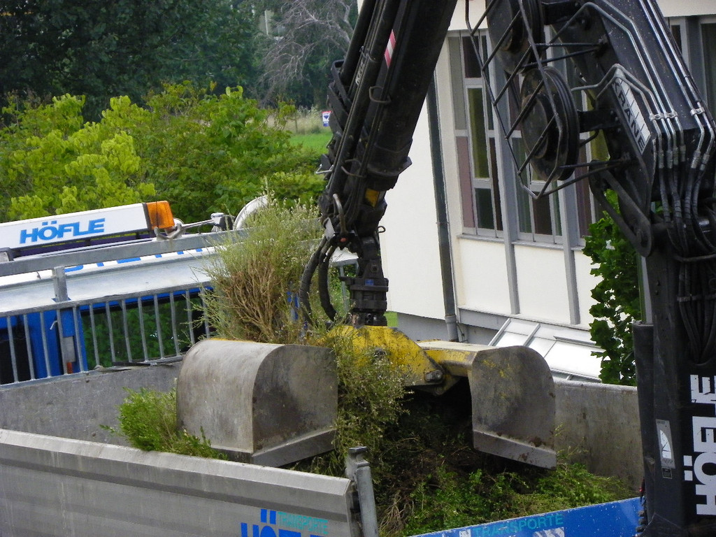 116_0785_JPG-1348434041