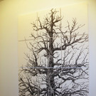 116_0940_JPG-1348434530