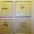 116_0962_JPG-1348434686