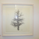 116_0968_JPG-1348434724