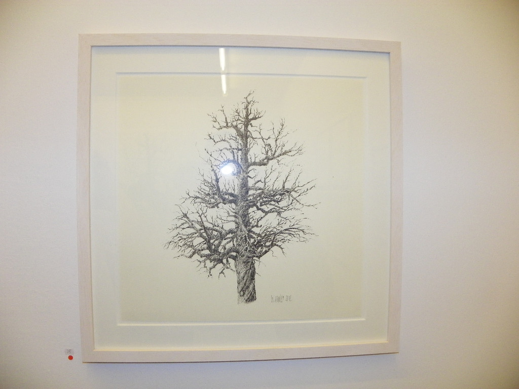 116_0968_JPG-1348434724