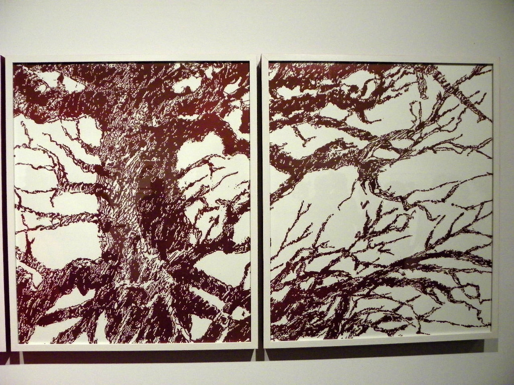 116_0973_JPG-1348434755