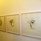 116_0985_JPG-1348434832