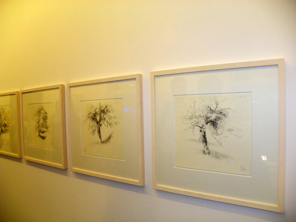 116_0985_JPG-1348434832